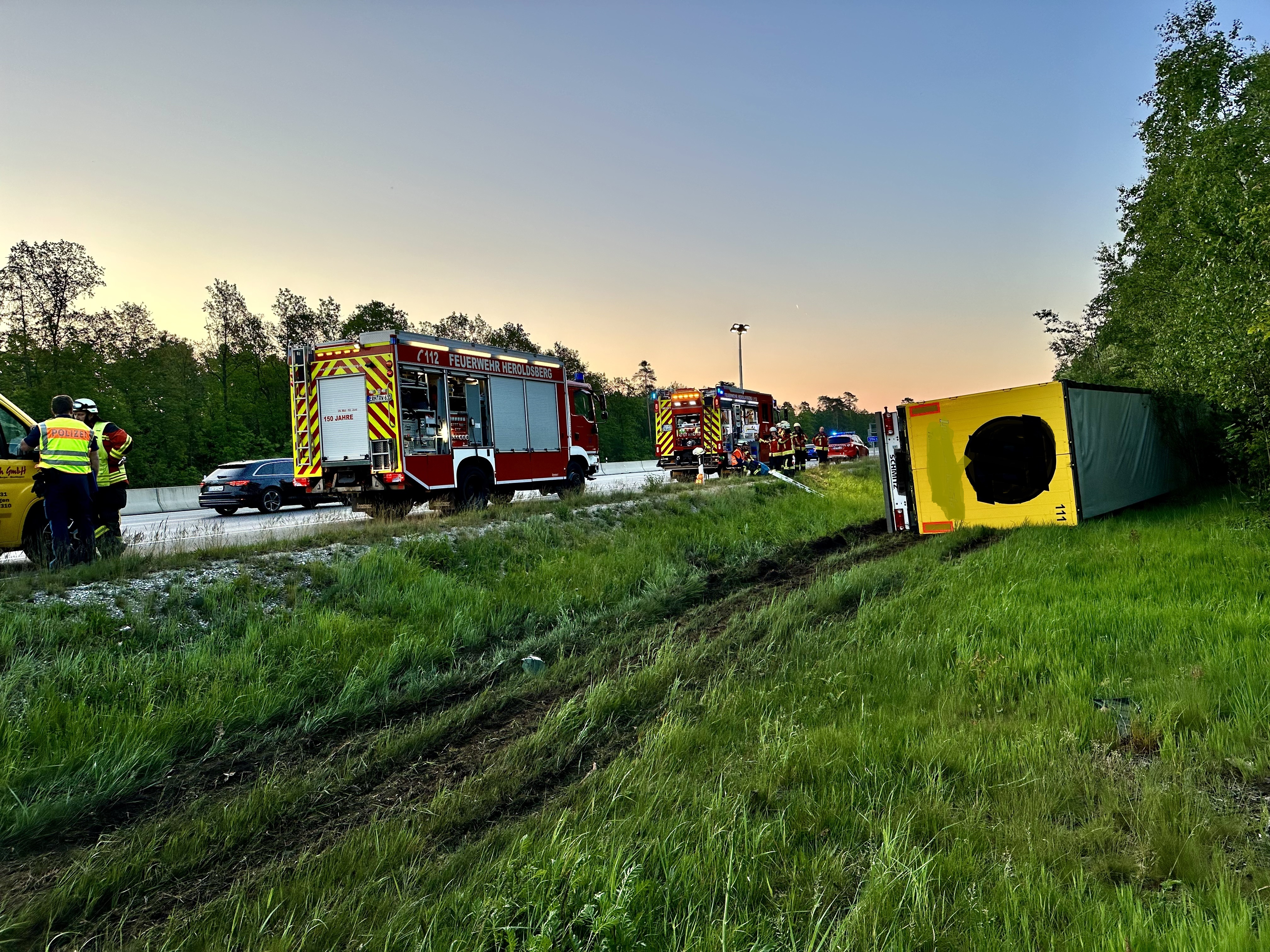 Delfino 05 249504 bearbeitet.jpg